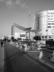 马龙公司注册